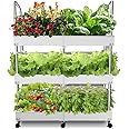 Large 3-Tier Indoor Hydroponics System Kit with Grow Lights, Double Water Pump, and 72 Large Pods for Vegetables Herbs Microgreens