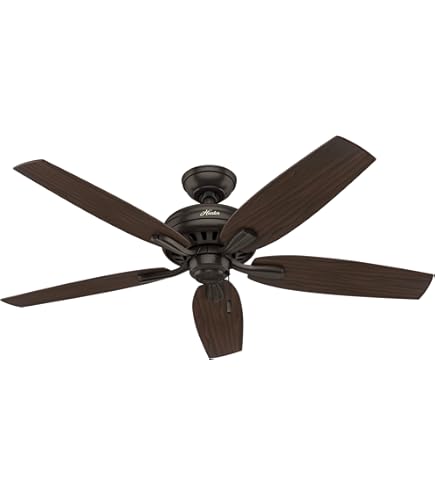 Hunter 52 inch Outdoor or Indoor Ceiling Fan No Light - Black