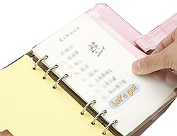 Eilova 6-Hole Clear Frosted PVC Sheet Pages