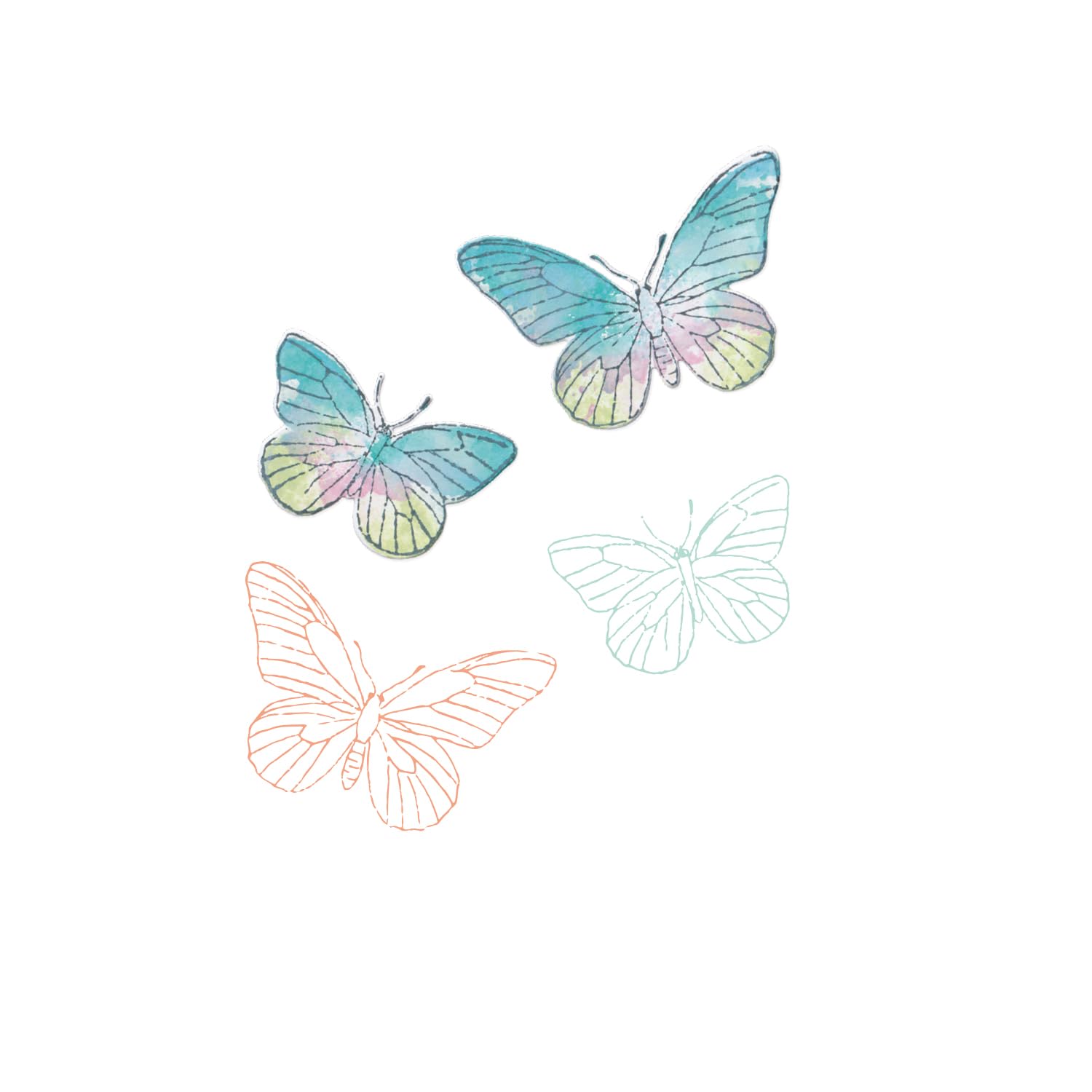 Sizzix A5 Clear Stamps & Framelits Dies - Painted Pencil Butterflies by 49 and Market