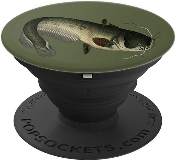 Amazon Com Catfish Cat Fish On Green Background Bottom Feeder Fishing