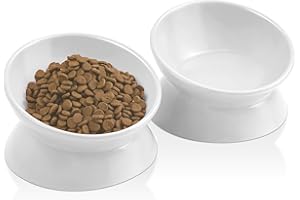 PWTAA Raised Cat Bowl Ceramic Extra Wide Cats Food Bowl, Set of 2, Anti-Vomiting Prevent Neck & Whisker Fatigue, Tilted Elevated Kitten Feeder Suitable for Cat and Puppy Cat Dish, Dishwasher Safe