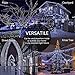 FULLBELL Christmas Lights, Fairy Lights Outdoor 66Ft 200 LED with Memory Modes Controller, Plug in Easter Decor Lights for Bedroom Party Wedding Garden Christmas Tree Indoor Outdoor Decorations