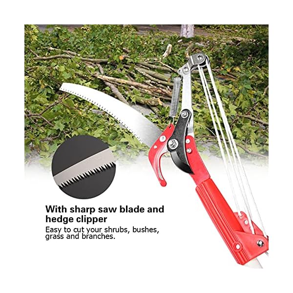Baumschere StangensÃ¤ge ohne Stange, Gartenschneidewerkzeug, 4 RÃ¤der Scharfes Gartenscherenscherenschneider-Trimmwerkzeug ObstpflÃ¼cker Harvester-StangensÃ¤ge Baumschneidemaschinenschneidemaschine – Bild 8