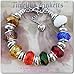 Timeline Treasures European Charm Bracelet Charms and Beads For Men and Women Jewelry, Platinum and Silver Spacers