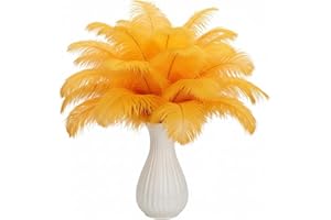 LAMAR FEATHER Lamar 20pcs 10-12'' Golden Ostrich Feathers for Wedding Centerpieces, Crafting, Festival Party Deco, Floral Arrangement, Carnival, Mothers Day, Bohemian Home Decor (Golden)