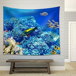 Wonderful and Beautiful Underwater World with Corals and Tropical Fish. - Fabric Wall Tapestry Home Decor - 51x60 inches