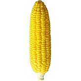 funnysquee Corn Squishies Stress Relief Novelty Toy Soft Scented Simulation Corns Squeeze Toys Cute Birthday Gift for Kids (Corn)