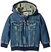 Levi's Baby Boys Hoodie, Waverly, 18M
