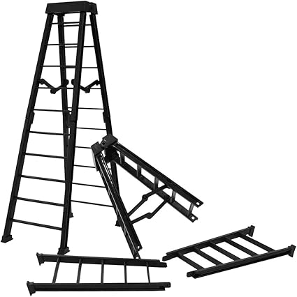 wwe ladder toy