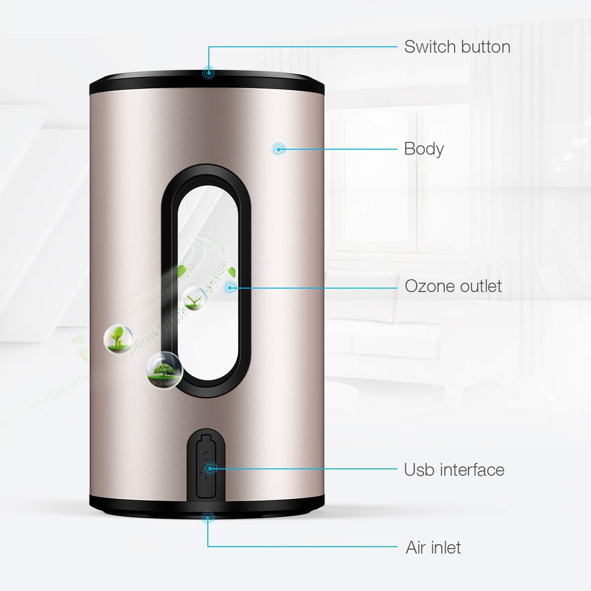 isYoung Air Purifier with True Hepa Filter, Odor Allergies Eliminator, Air Cleaner for Smokers, Smoke, Dust, Mold, Home and Pets (Black)