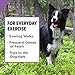 Purina Pro Plan Dry Dog Food, SPORT Active 26/16 Formula - 37.5 lb. Bag