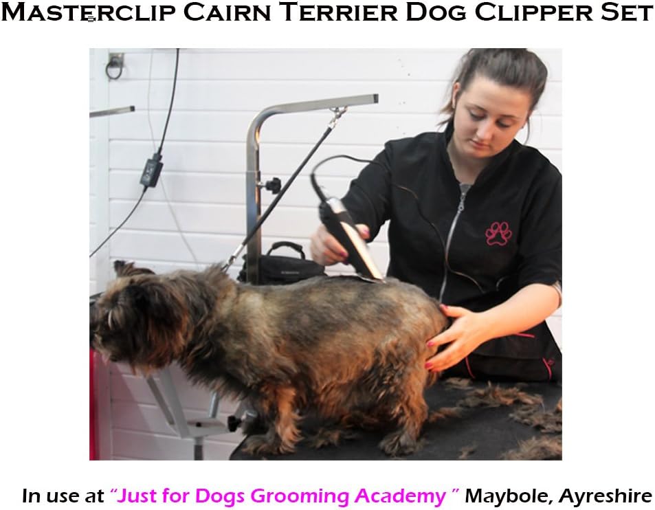 best dog clippers for cairn terrier