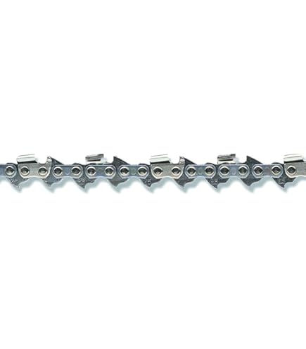 Amazon.com: OREGON 25AP072G 72 Drive Link Micro Chisel Chain