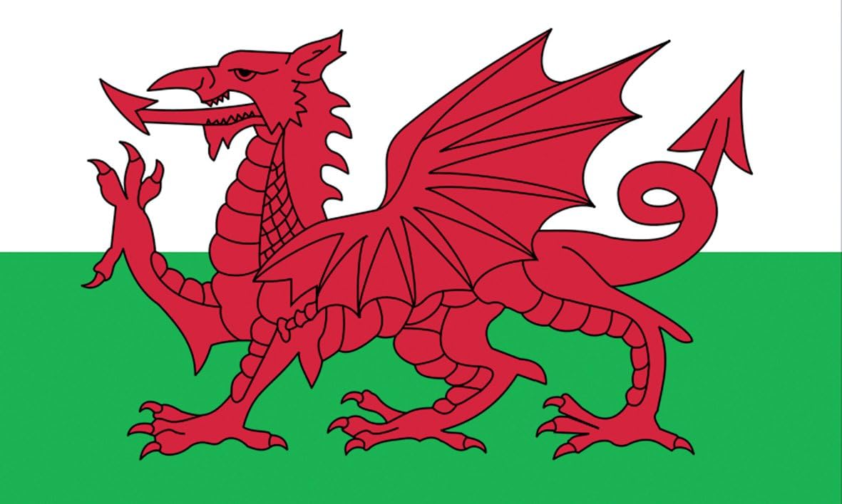 Wales Welsh Dragon Flag Amazon.co.uk Kitchen & Home
