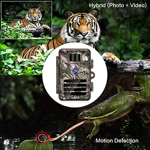 6 Tovendor+Waterproof+Outdoor+Activated+Wildlife