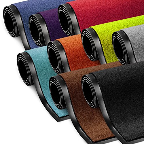 Schmutzfangmatte ColorLine | viele Größen und Farben zur Auswahl | Fußmatte für Innenbereich | Mono Color Braun 40x60 cm