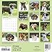 Puppies 2018 Calendar