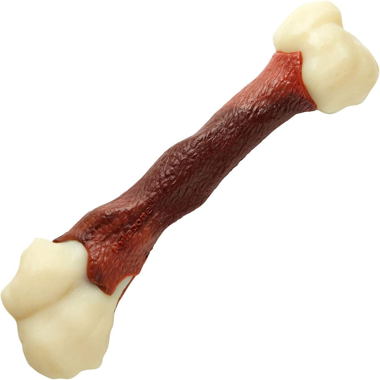 nylabone femur