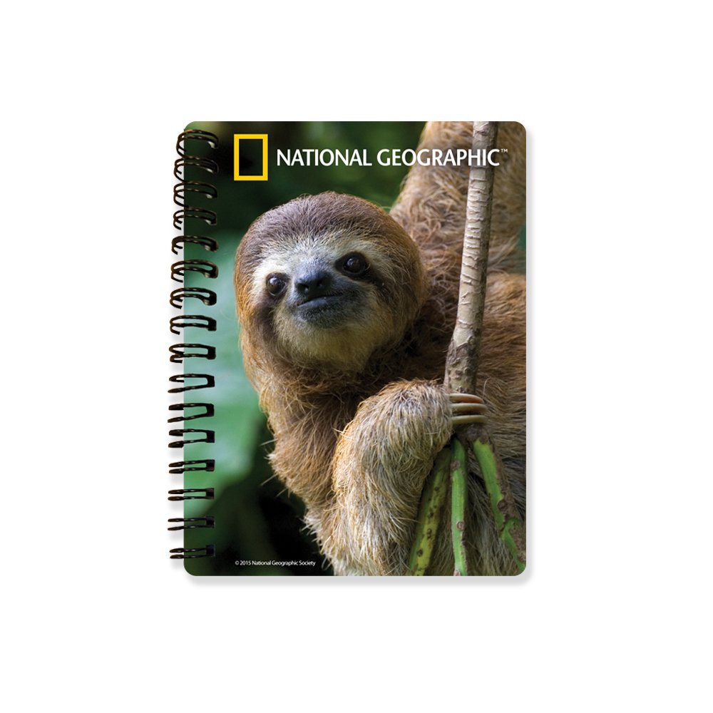 National Geographic "Sloth" Notebook: Amazon.co.uk: Toys & Games