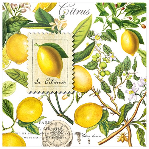 Michel Design Works 20-Count 3-Ply Paper Luncheon Napkins, Lemon Basil