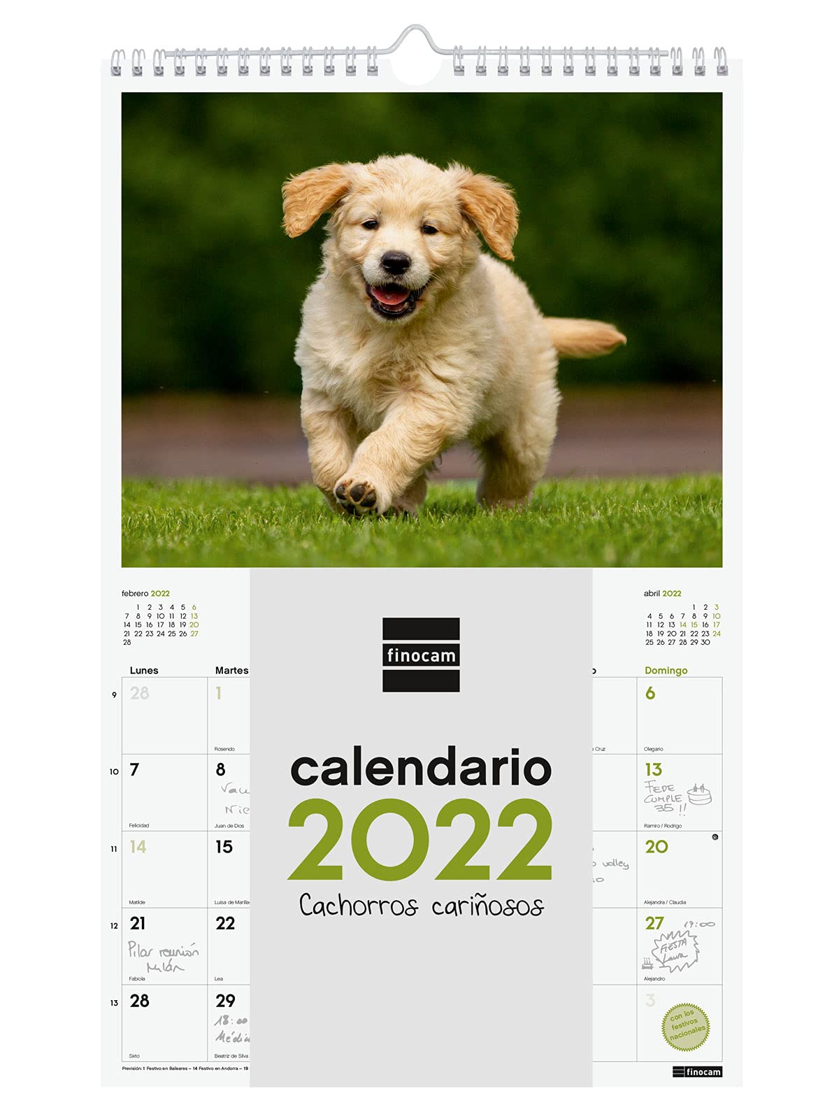 Finocam - Calendar 2022 250 x 400 mm Spiral Wall Images for Writing Puppies Spanish