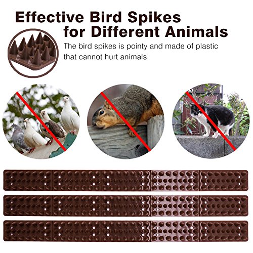 Bird Spikes for Pigeons Small Birds Critters - 16 Feet Bird Repellent Spikes Plastic Bird Deterrent Spikes Anti Bird Spikes Strips-Idea for Fences Walls Railings Sheds Roof(10 Strips)