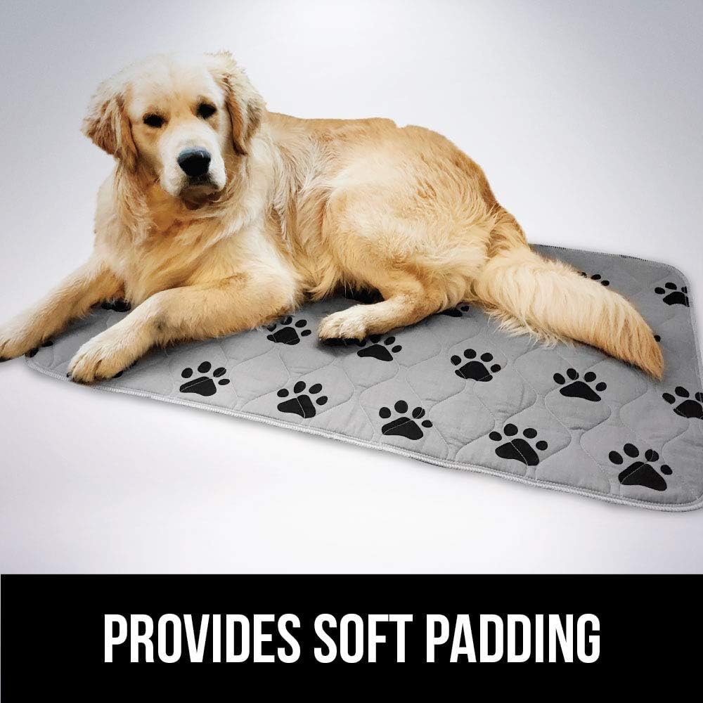 Gorilla Grip Original Reusable Pad and Bed Mat for Dogs 34x21, 2 Pack, Absorbs 3 Cups, Oeko Tex Certified, Washable Waterproof, Puppy Crate Training, Furniture Protection Pet Pads, Fits 36-inch Crates : Pet Supplies