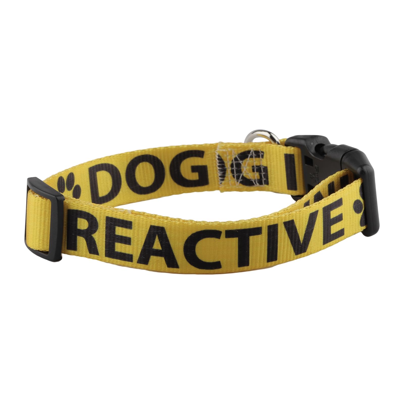Adjustable Reactive Dog In Training Collar Gift