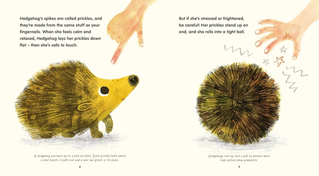 Say Hi To Hedgehogs Mcguinness Jane 9781406374605 Amazon Com Books