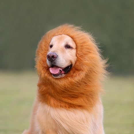 Amazon Com Evinis Large Pet Dog Cat Lion Wigs Mane Hair Festival