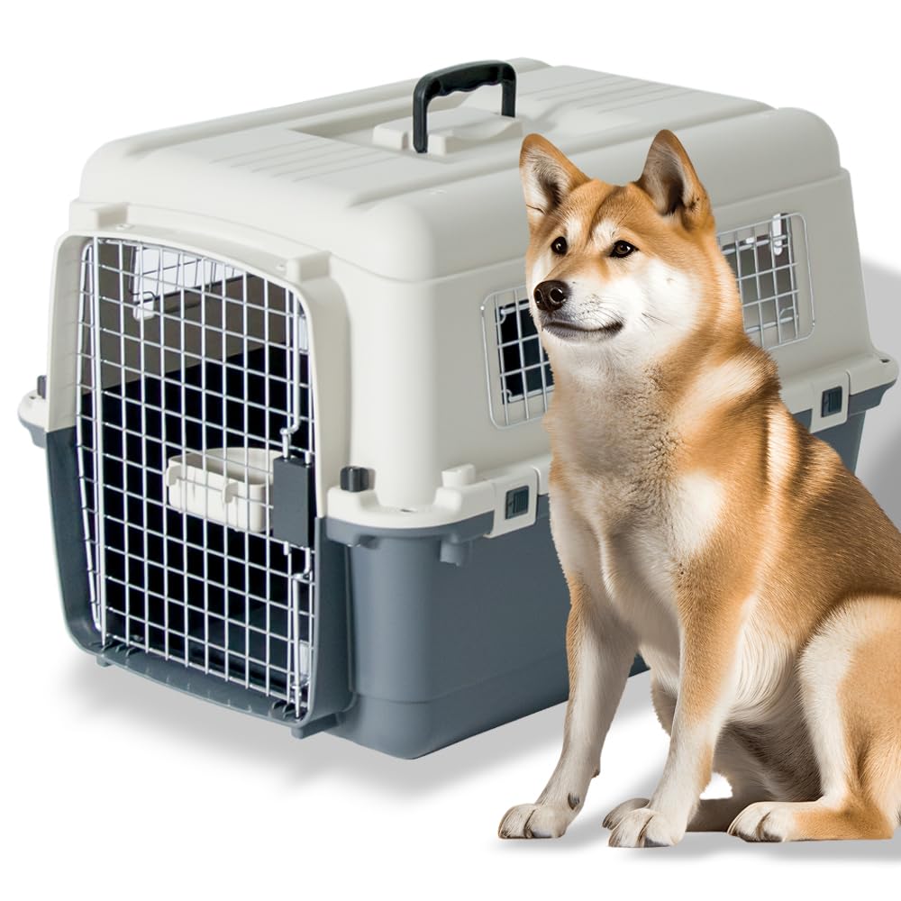 プチリュバン デラックス キャリーバッグ70 LL グレーの商品画像