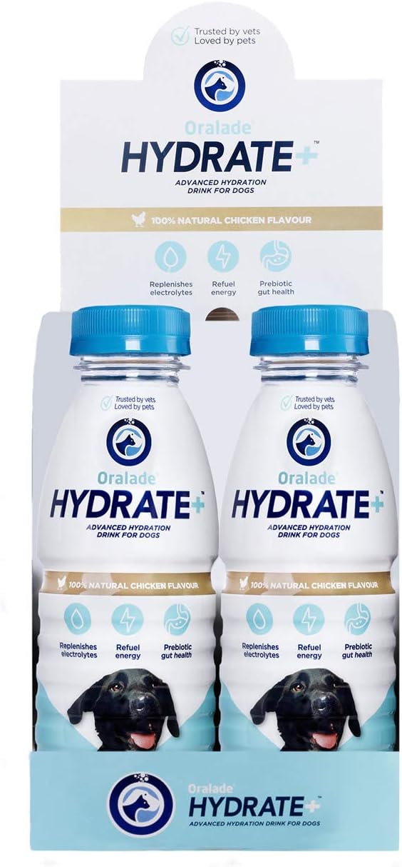 HYDRATE+ Dog 400ml Amazon.co.uk Pet Supplies