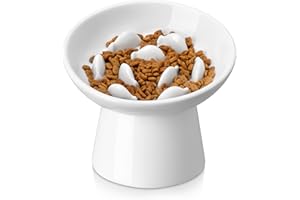 vancasso Ceramic Slow Feeder Cat Bowl, 6.25 Inch Elevated Cat Slow Feeder Bowl, Anti Vomiting for Dry and Wet Food, White