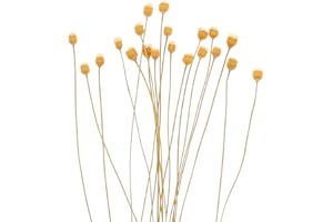Alasum 20Pcs Reeds for Diffuser Flower-Designed Wood Sticks Emitting Fragrance and Absorbing Essential Oils