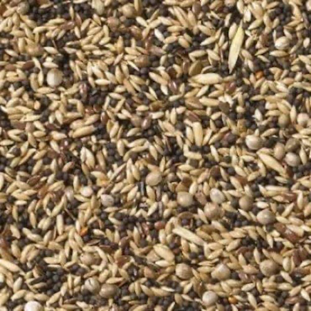 Johnston & Jeff British Finch Bird Seed, 20 kg