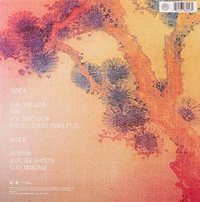 kids see ghosts vans