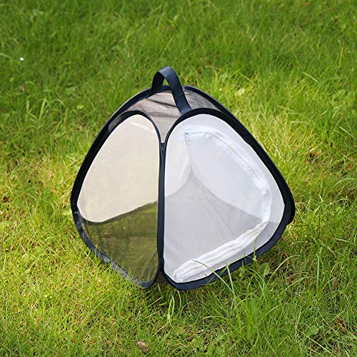 2 RESTCLOUD+Butterfly+Habitat+Insect+Terrarium