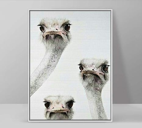 Amazon Co Jp 三好奇心ダチョウヘッドキャンバス 絵画ポスターウォールアート家の装飾動物印刷現代絵60 80センチフレームなし ホーム キッチン