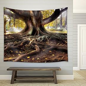 Centenarian Tree with Large Trunk and Big Roots Above The Ground - Fabric Wall Tapestry Home Decor - 51x60 inches
