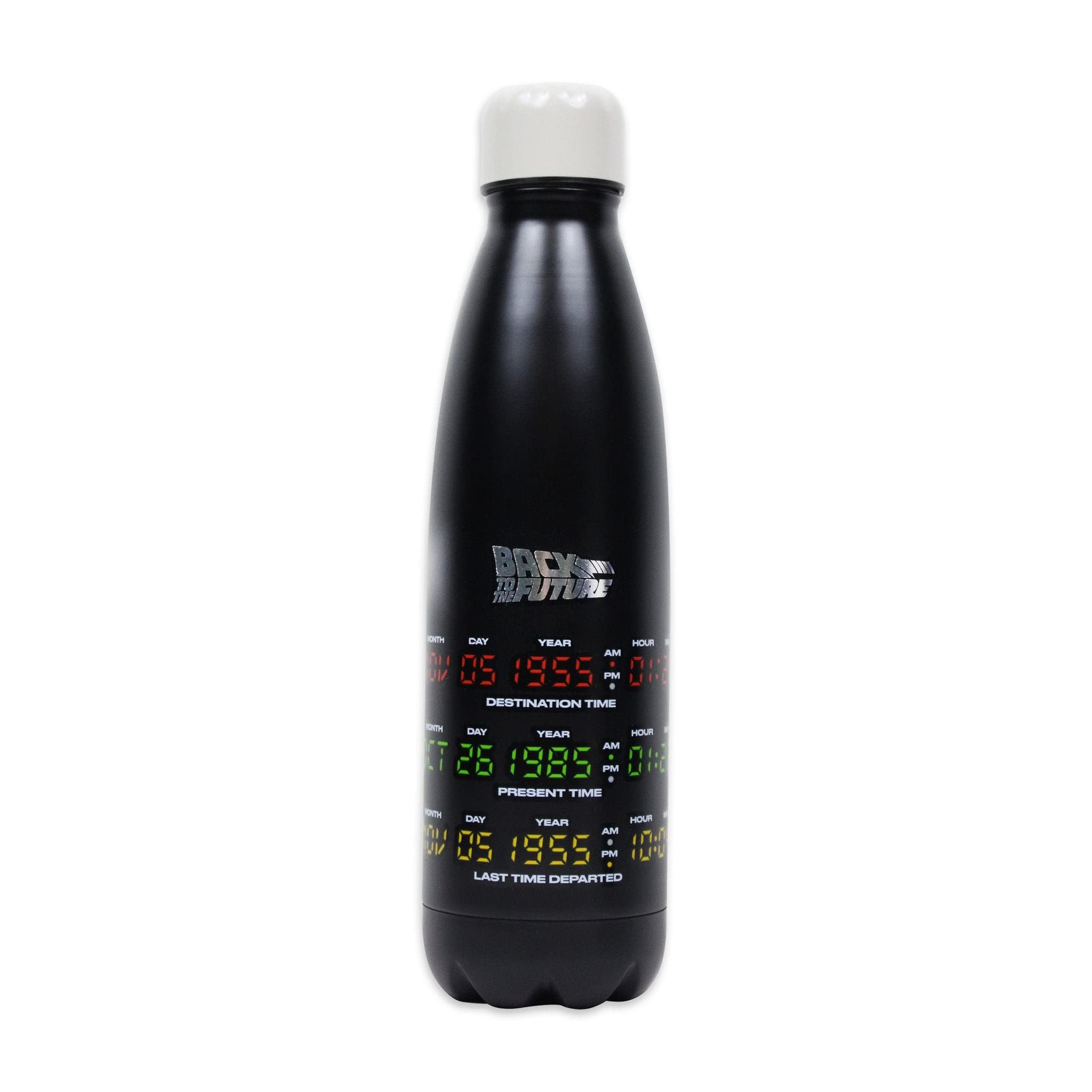 Back to The Future Water Bottle (Metal) 500ml