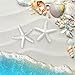 SUBANG 20 Pieces Starfish 2.3 Inch White Resin Sea Star Fake Starfish for Wedding Decor Beach Theme Party, Home Decorations,DIY Crafts, Fish Tank