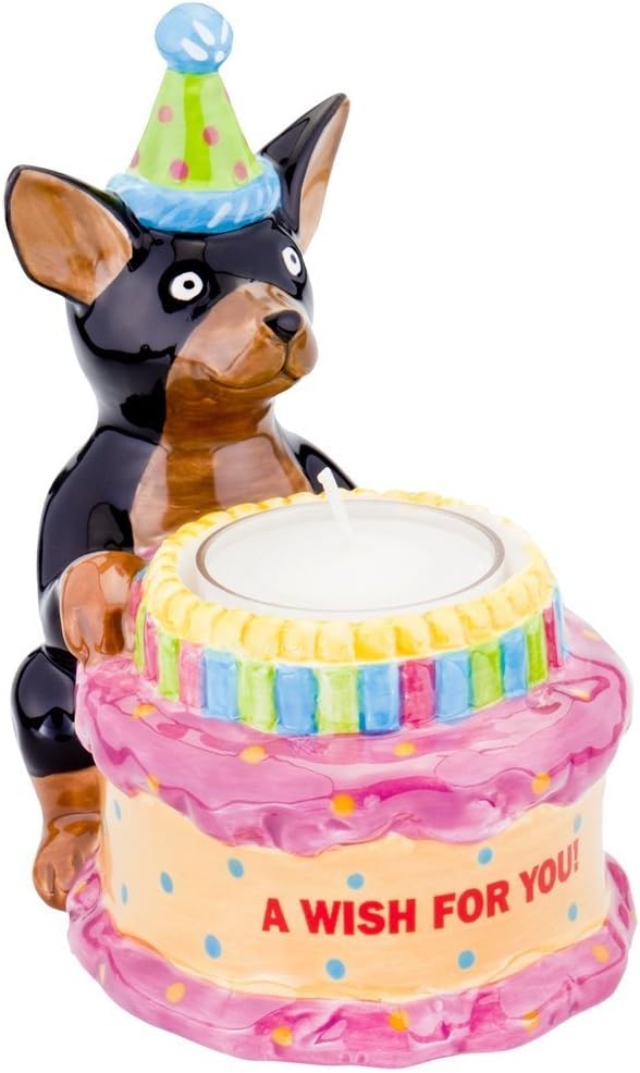 chihuahua birthday hat