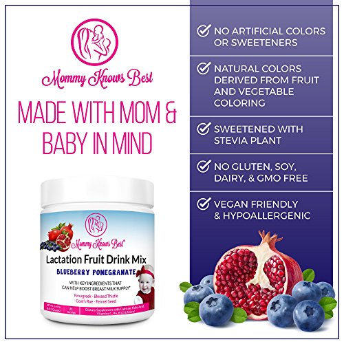 Lactation Supplement Fruit Drink Mix for Breastfeeding Mothers (Blueberry Pomegranate) - Boost Breast Milk Supply with Fenugreek, Goat's Rue, Blessed Thistle, and Fennel Seed - (21 Servings)
