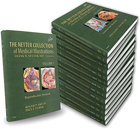 洋書 ・希少 CIBA医学イラスト集第1巻 Ⅰ フランクH.ネッター／英語版 The Ciba Collection of Medical Illustrations, Vol. 1: Nervous