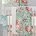 Carousel Designs Coral and Teal Floral 2-Piece Crib Bedding Set