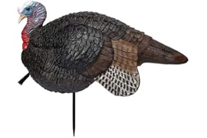 Primos Hunting Lil Gobstopper Jake Turkey Decoy Light-Weight Hunting Decoy 69074, Multi