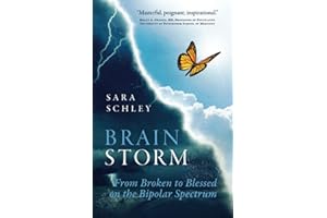 BrainStorm: From Broken to Blessed on the Bipolar Spectrum
