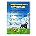 Doberman Property Laws Fridge Magnet No 1 by Wag Whimsy