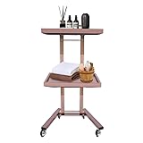 Salon Trolley Cart, 2-Tier Hairdressing Trolley